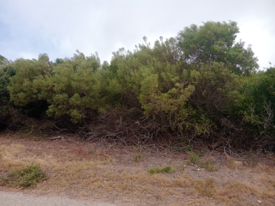 Commercial Property for Sale in Paradise Beach Eastern Cape